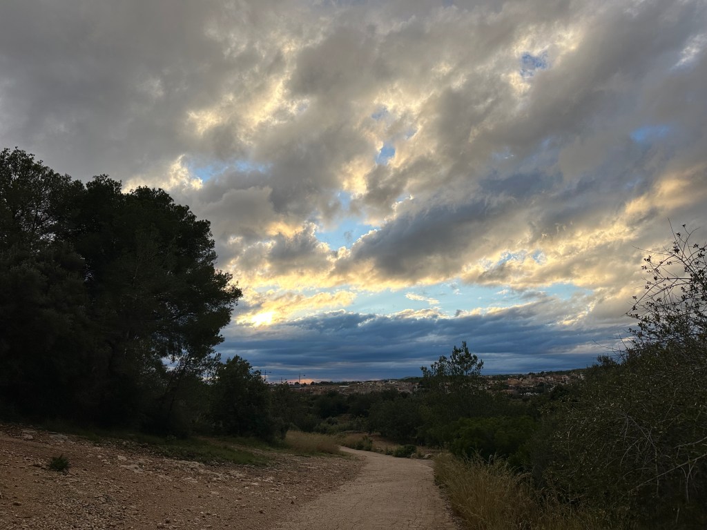 ¿Trotador casado?. Si.&nbsp;¿Cazado?