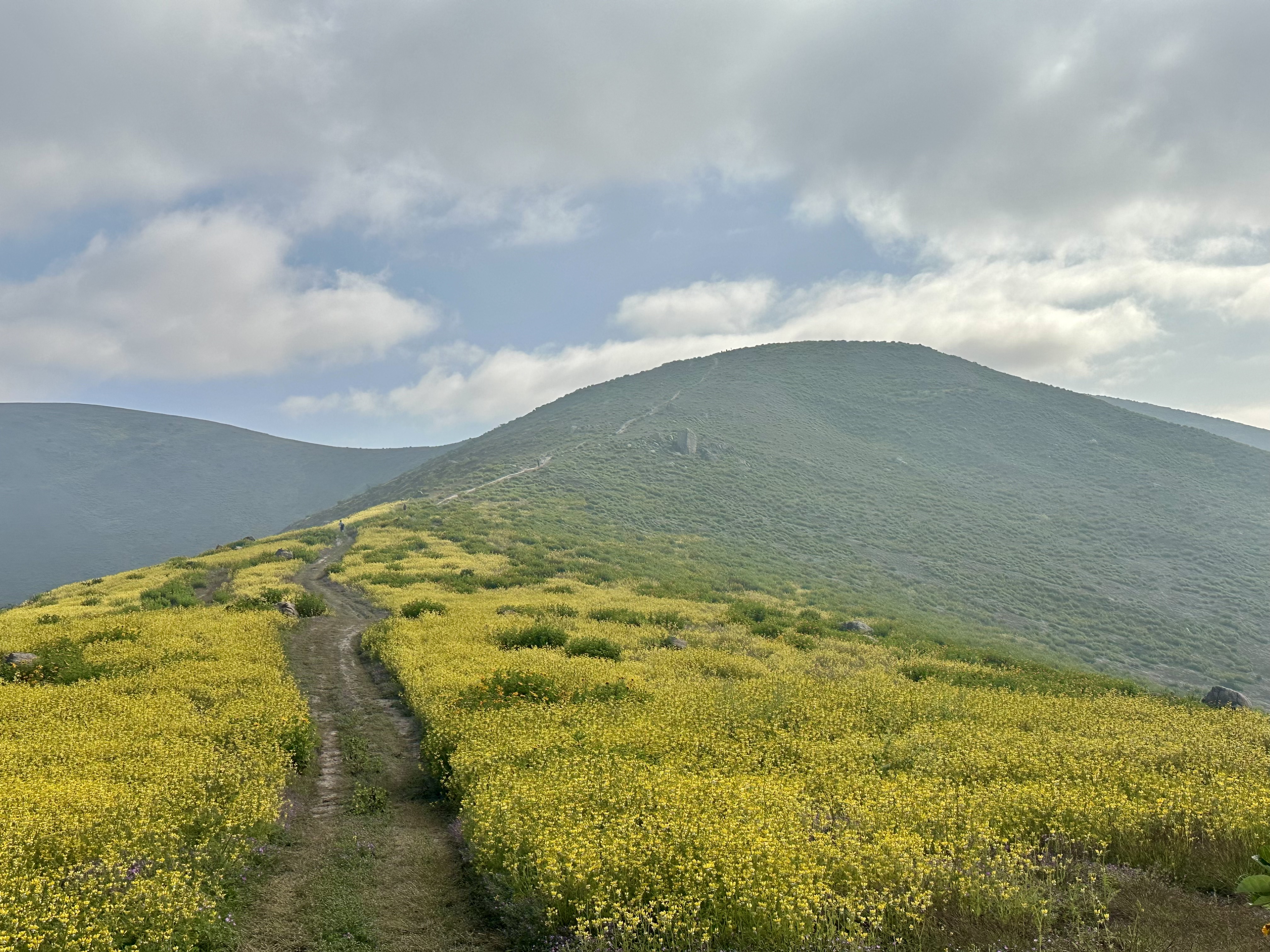Provincia de Islay: El auge económico y la esperanza de un&nbsp;cambio