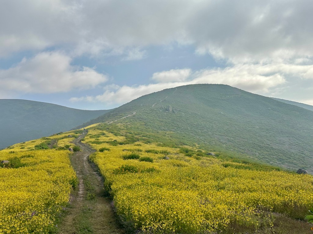 Provincia de Islay: El auge económico y la esperanza de un&nbsp;cambio