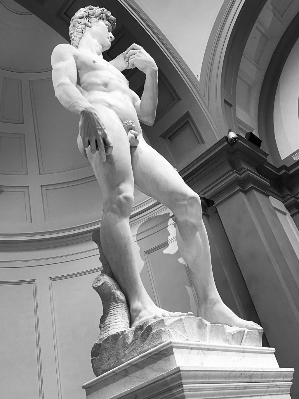 Todavía estoy acá: cuando el reconocimiento no se dice, se&nbsp;pierde.