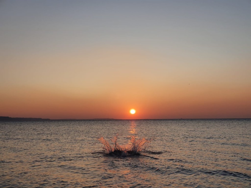 5cf7fd77-c0d1-4f2f-b418-41bd778e6109-1