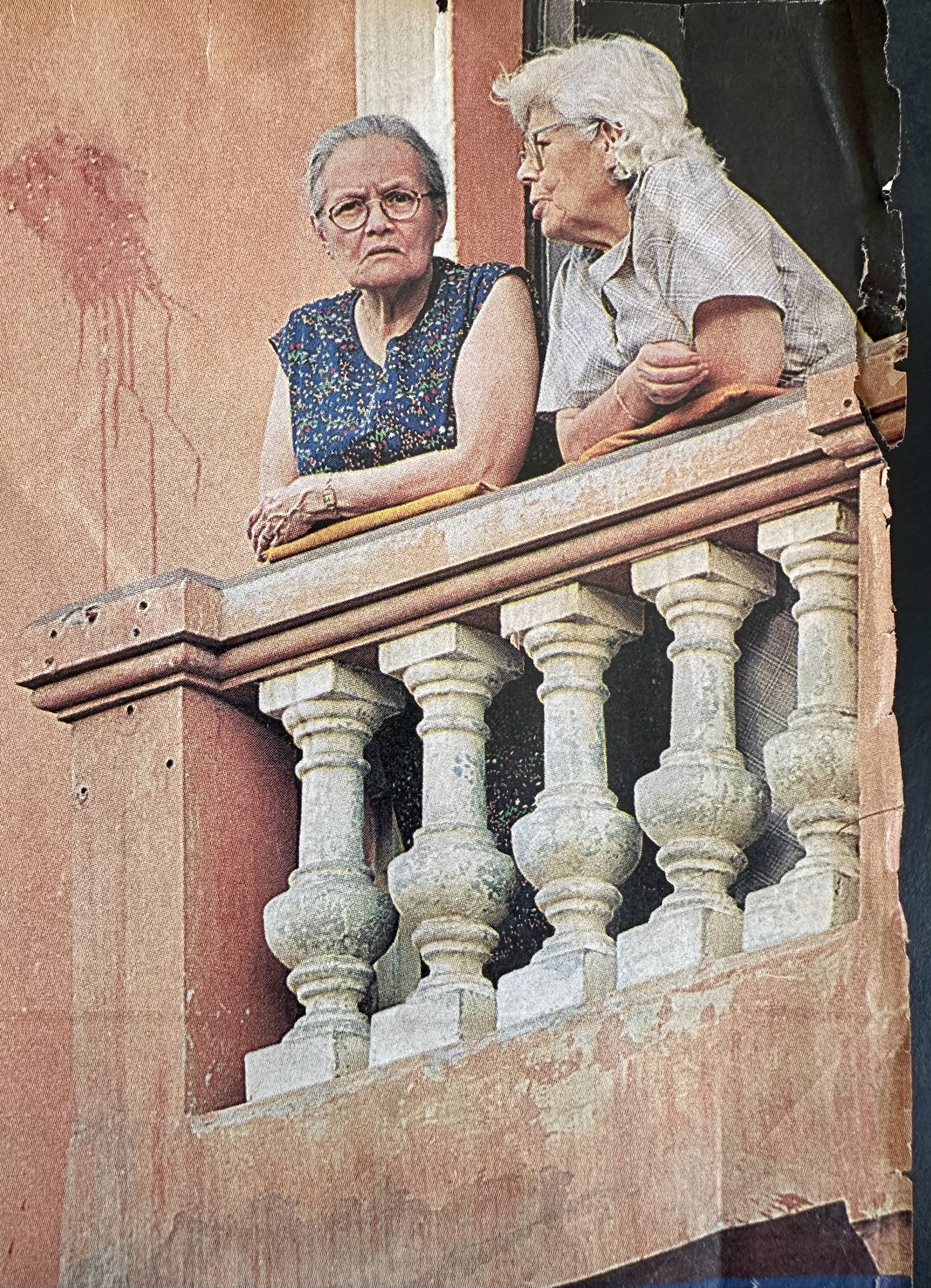 Caos Organizado: reporte de un observador con fruta en&nbsp;mano