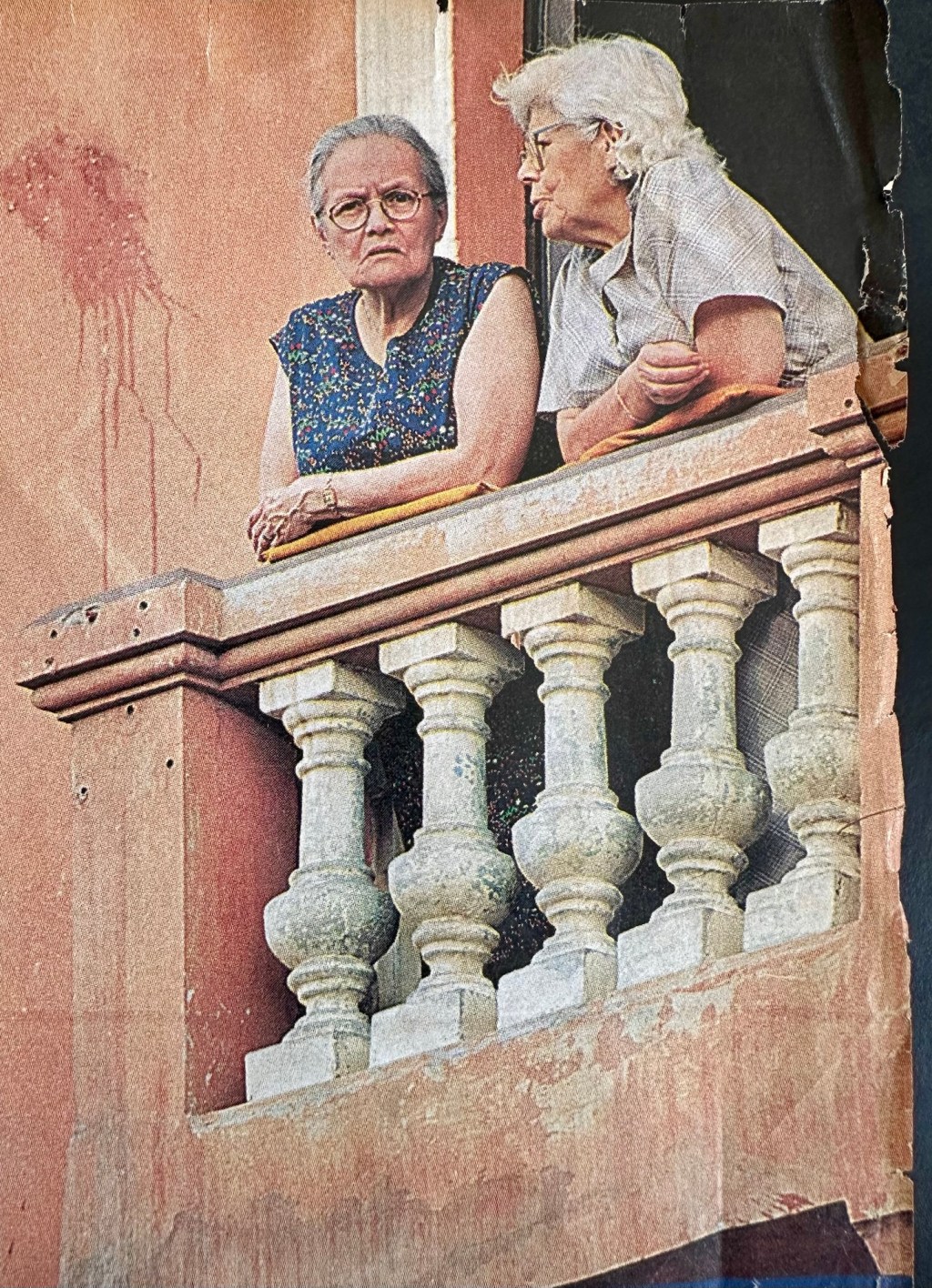 Caos Organizado: reporte de un observador con fruta en mano