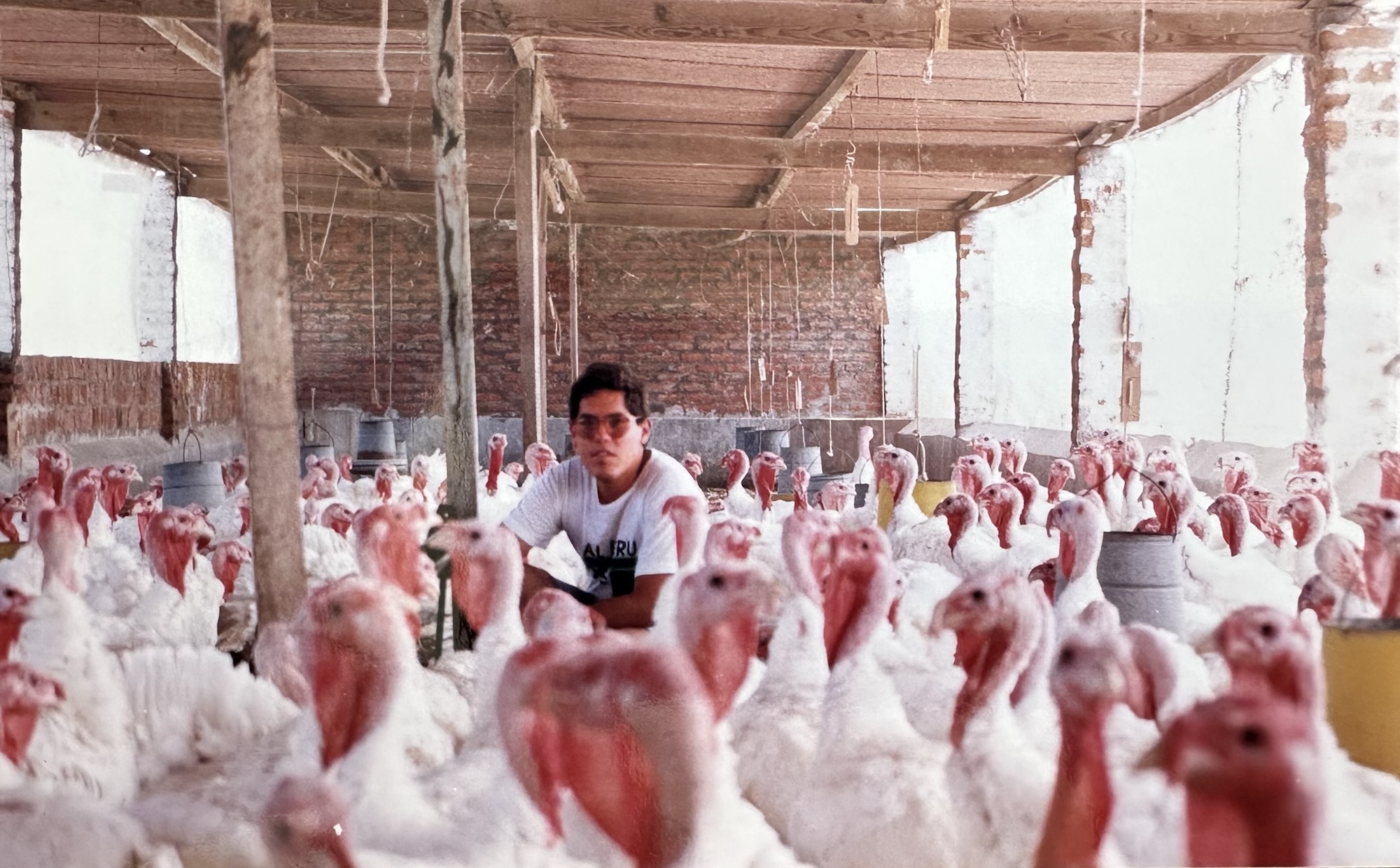 Cómo sobrevivir al Currículum Vitae sin estreñirse en el&nbsp;intento