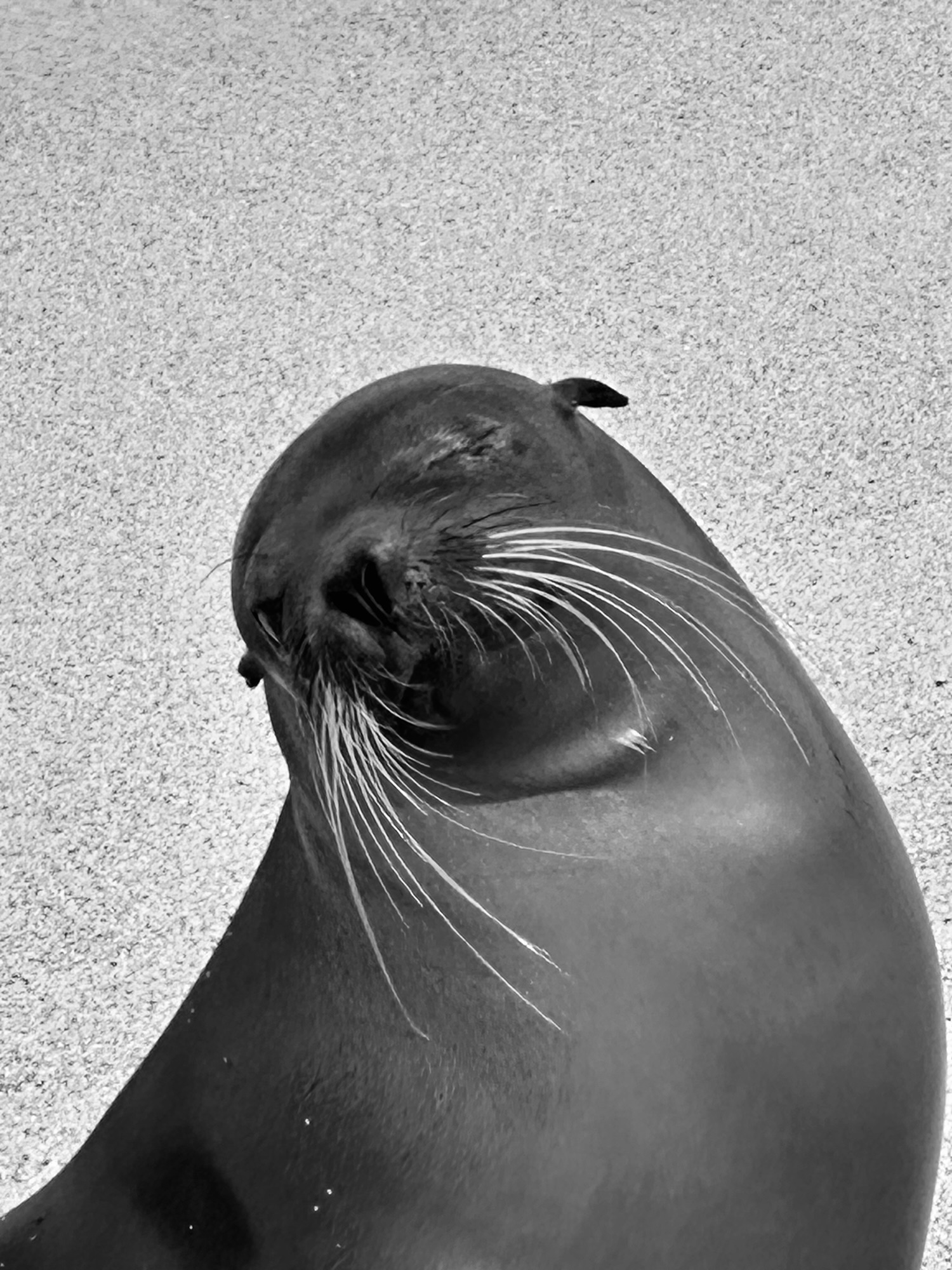 Huachafómetro activado: cuando parecer importa más que&nbsp;hacer.