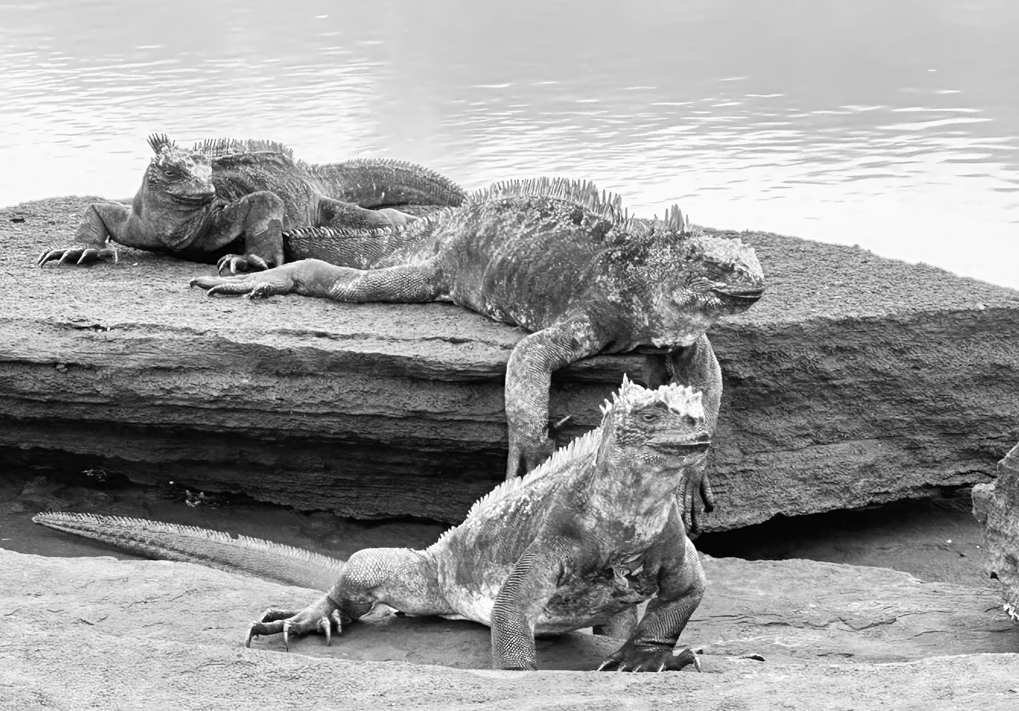 Nos creemos dueños del planeta… y llegamos en el último segundo