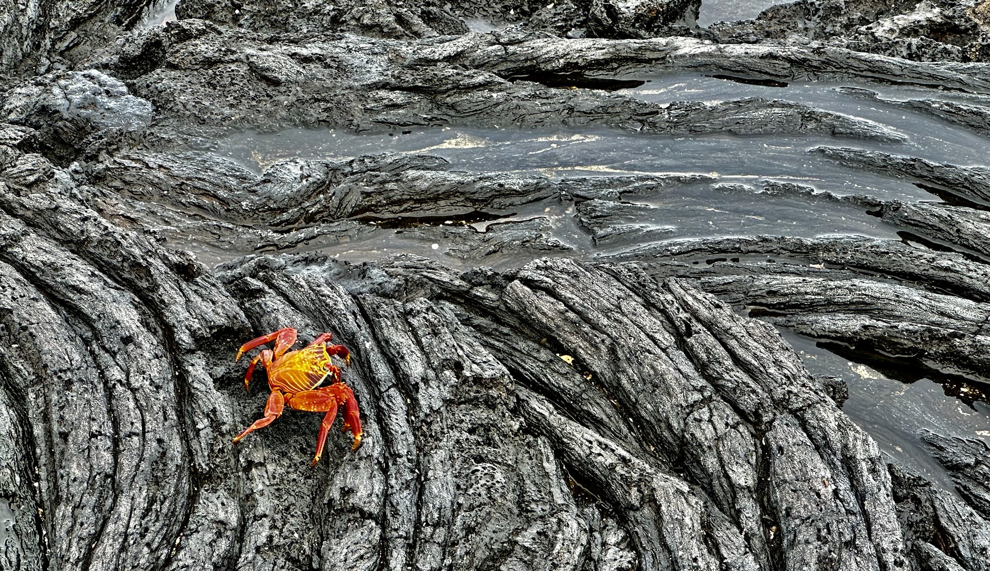 Fotos en B&N: Captando&nbsp;Momentos.