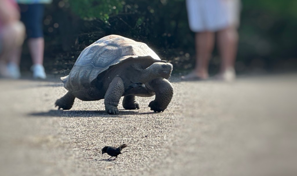 Serendipia: cuando la vida se equivoca a nuestro&nbsp;favor