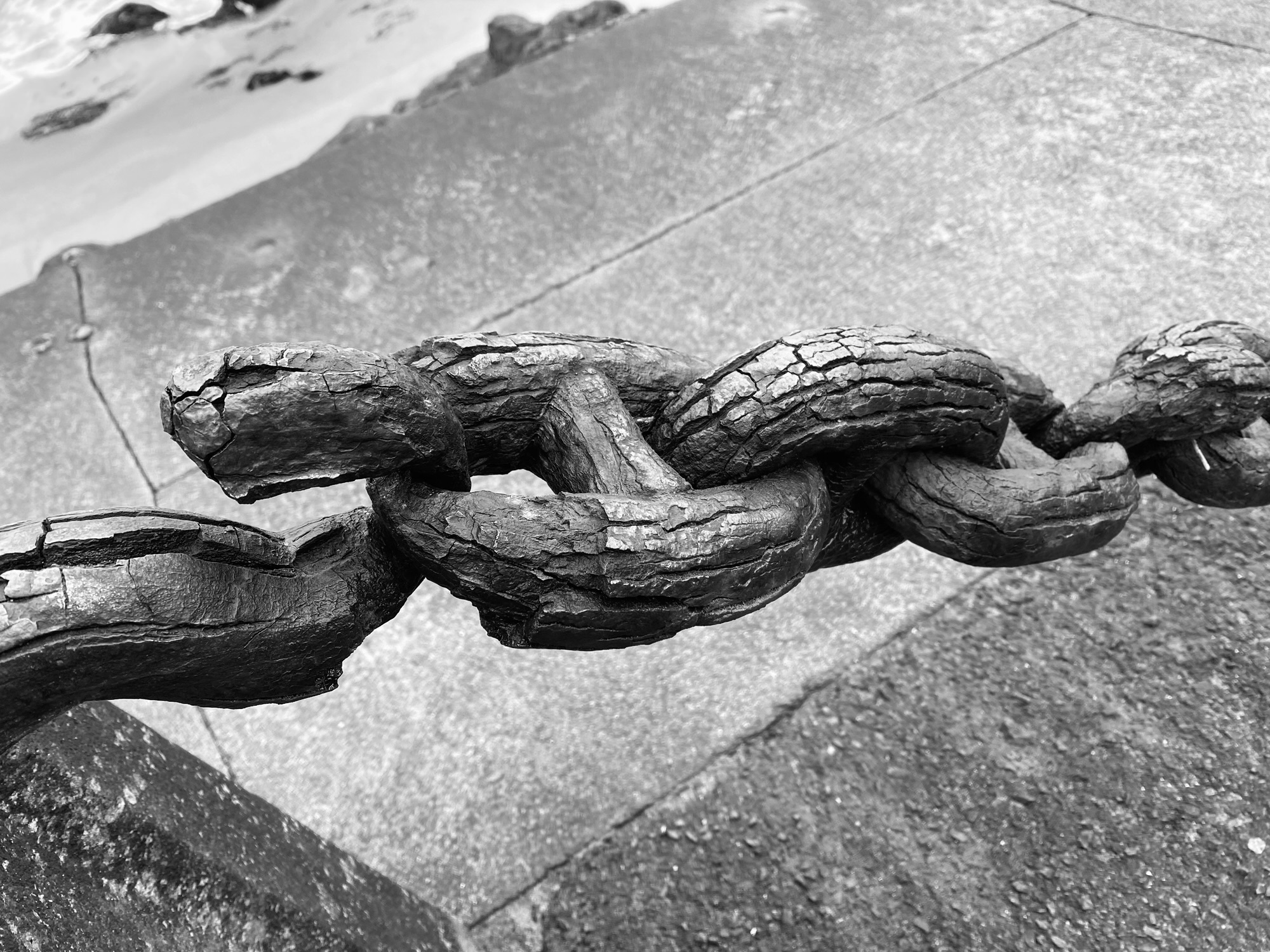 Gobernar con espejo roto: la política del ego y la foto.