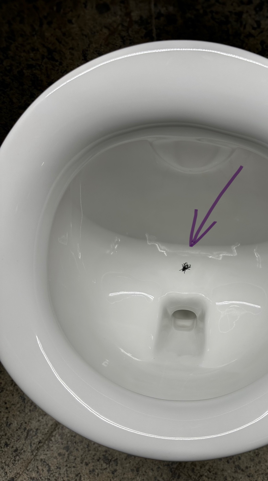 Geopolítica en el&nbsp;urinario